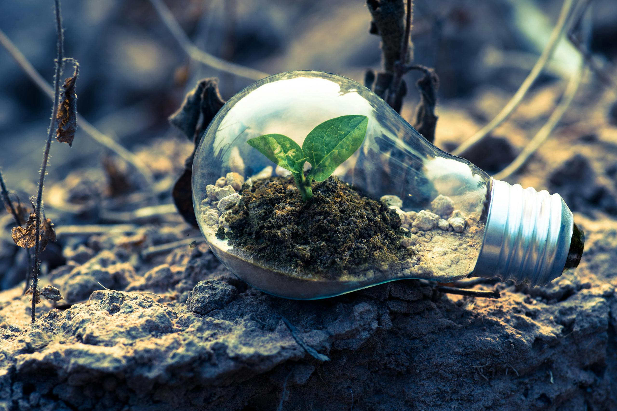 Como Transformar Ideias em Negócios Lucrativos