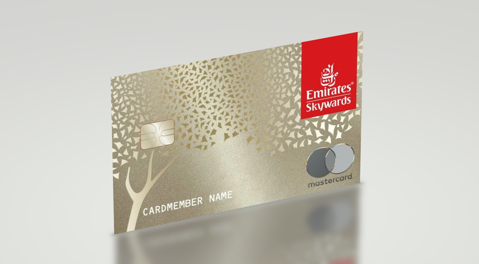 Apply for Emirates Skywards Premium World Elite Mastercard Guide