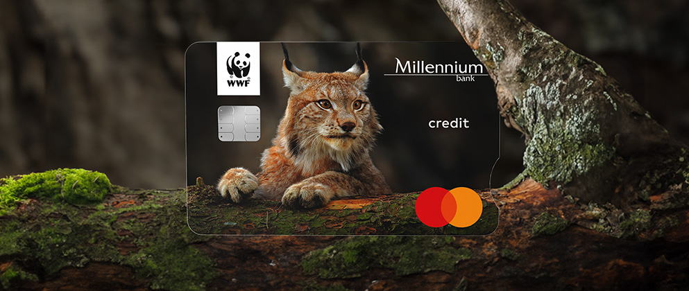 Jak złożyć wniosek o kartę kredytową Millennium WWF Mastercard